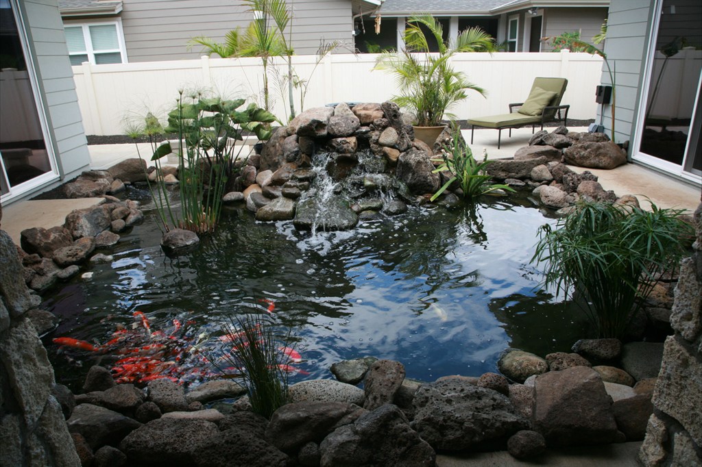 Koi Pond