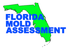 Avatar for Florida Mold Assessment