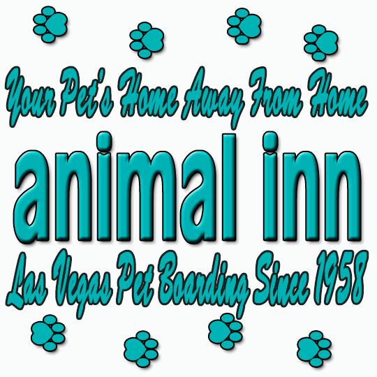 Logo for Animal Inn Pet Boarding Kennel