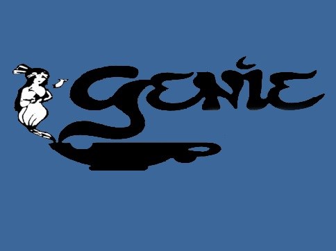 GENIE CARPET SERVICE logo