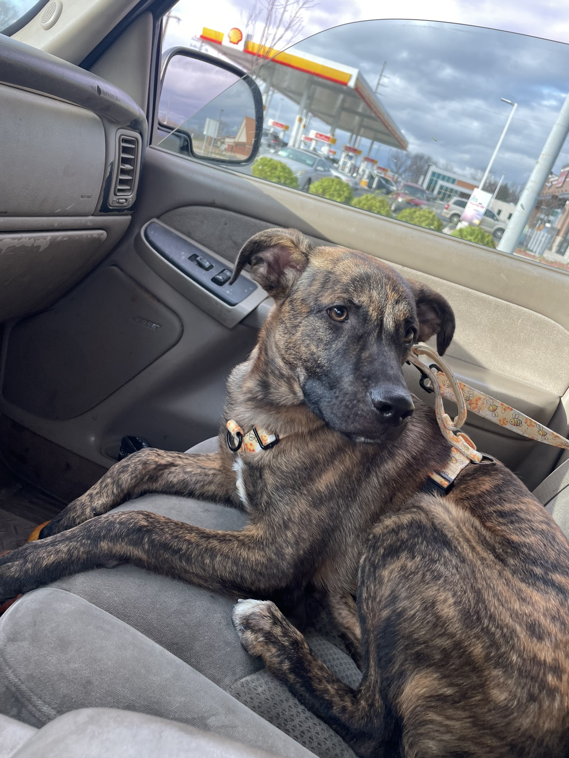 Avatar for Bandit Metalworks