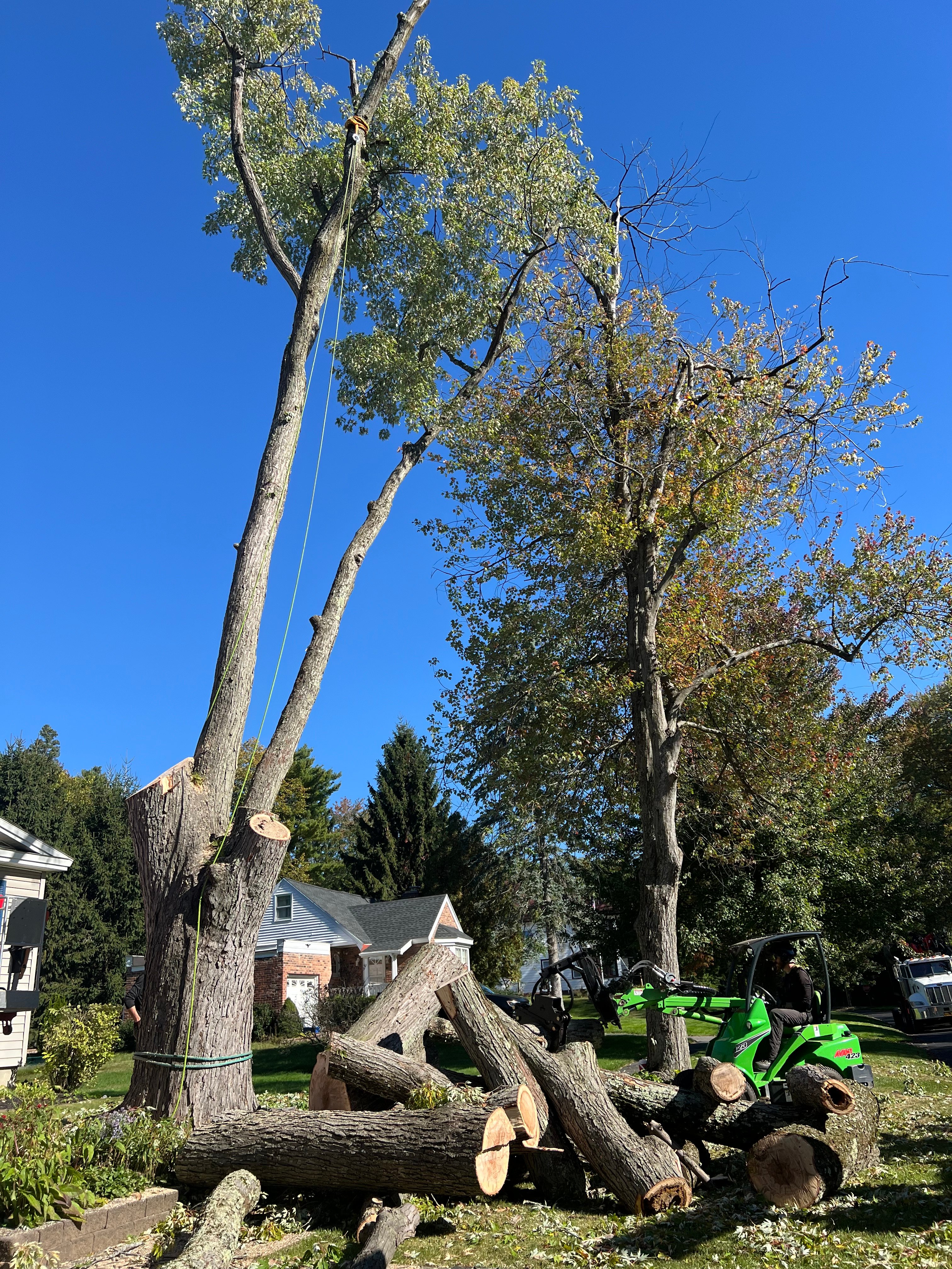 Avatar for E&J Tree and Lawn Care