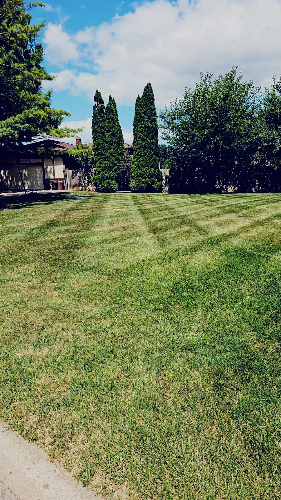 Avatar for Probity lawncare