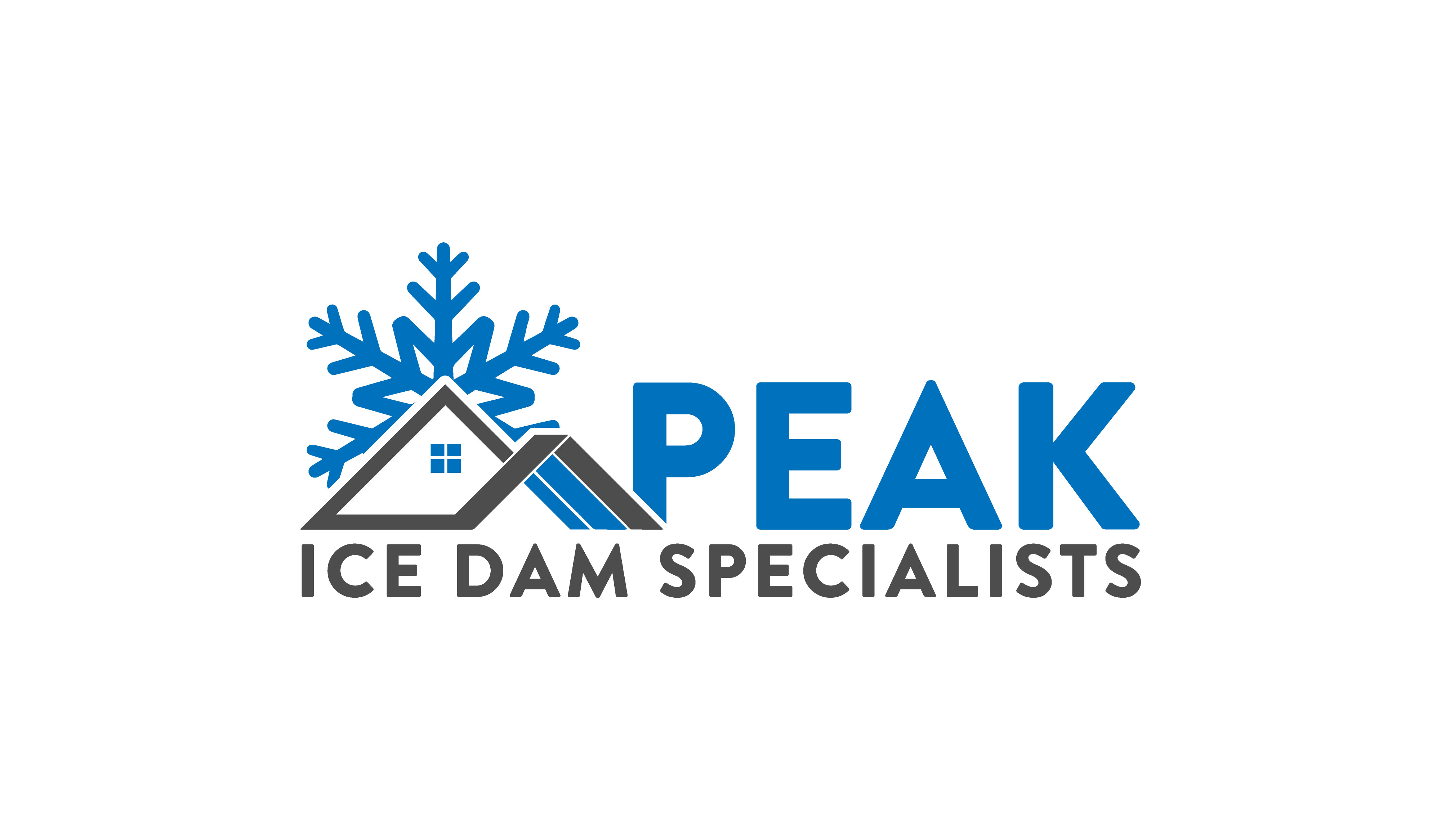 Avatar for Peak Ice Dam Specialists, LLC