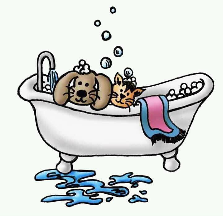 Logo for Pleasant Valley Pet Styling