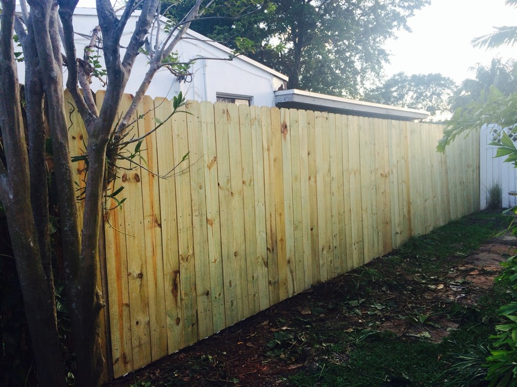 Repaired/Replaced Fence