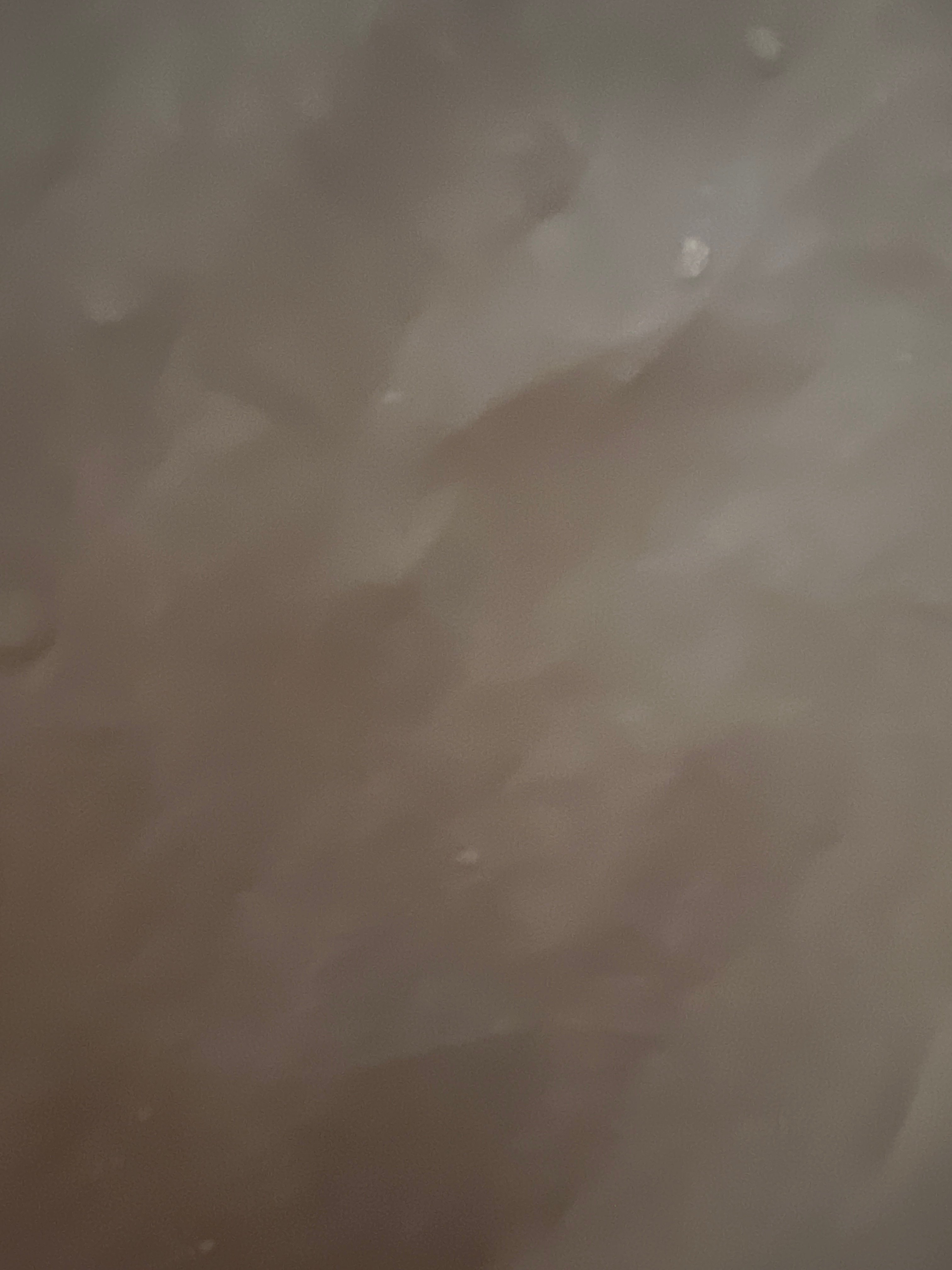 Avatar for lindsey bernal