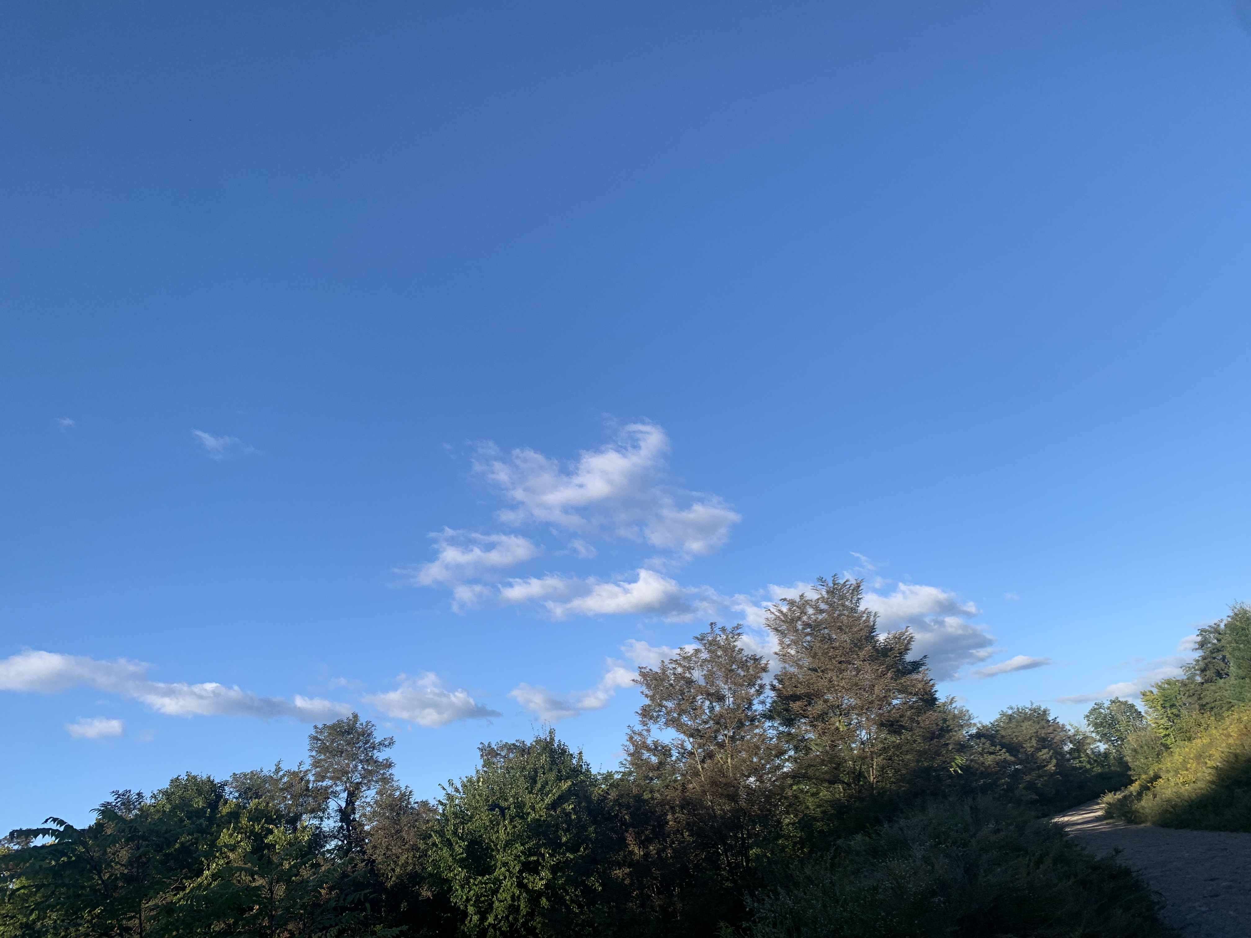 Avatar for Kelly nolan