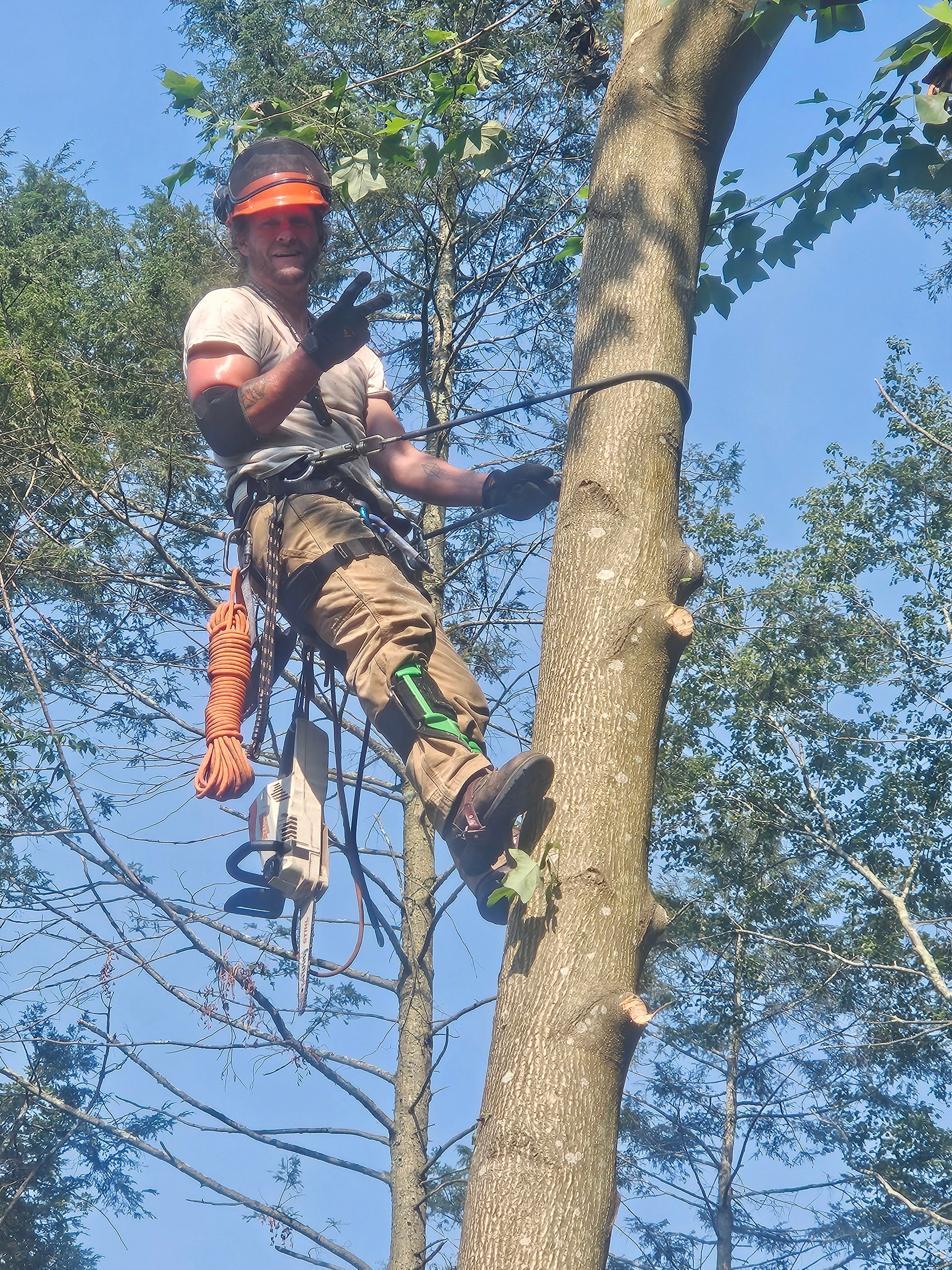 Avatar for S an L tree service