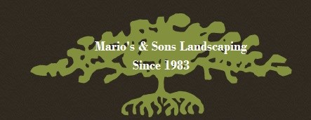 Mario's & Sons Landscaping logo
