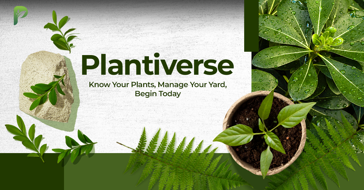 Avatar for Plantiverse - Plant Identification App