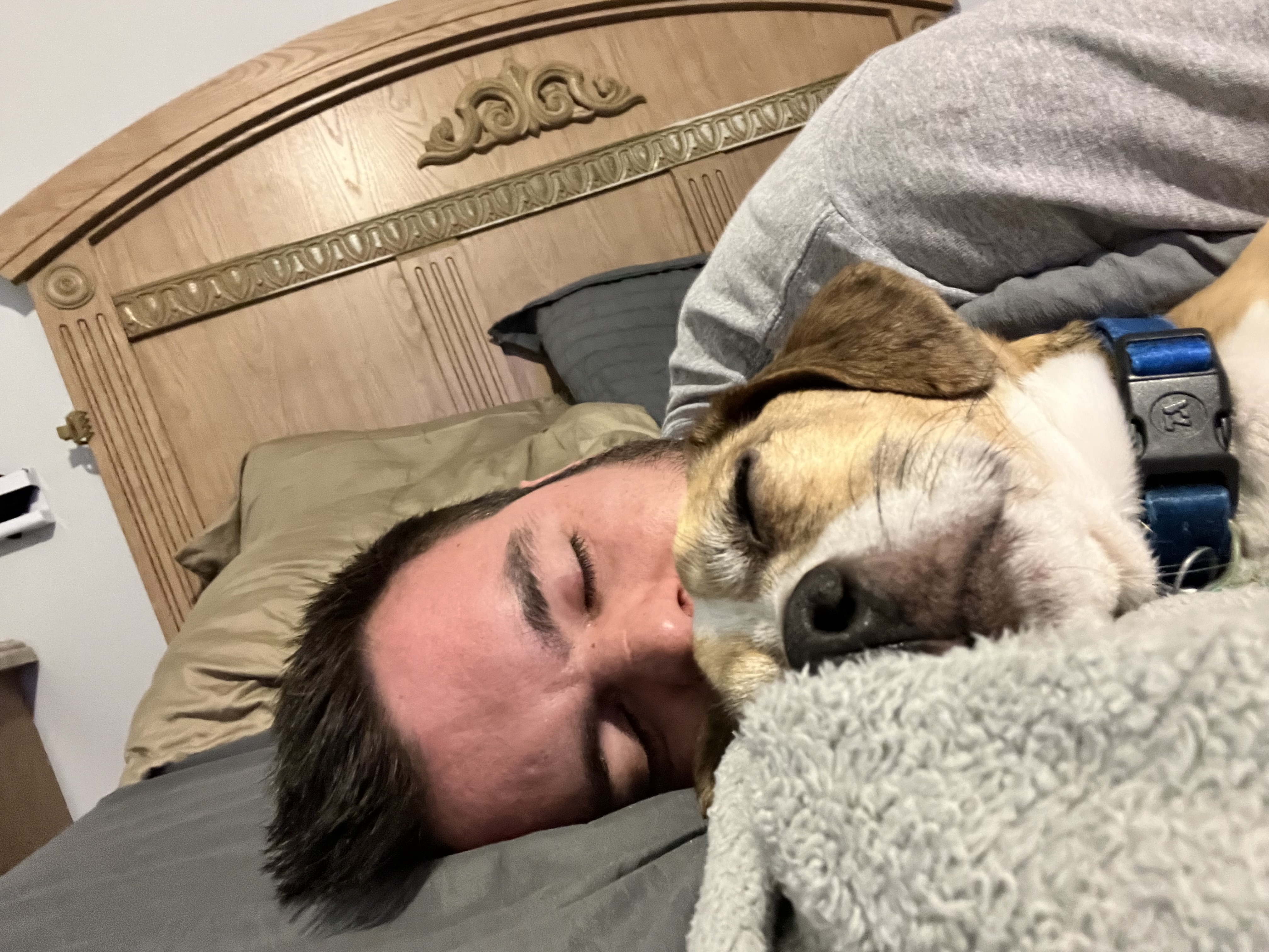 Avatar for 1221 Installations 