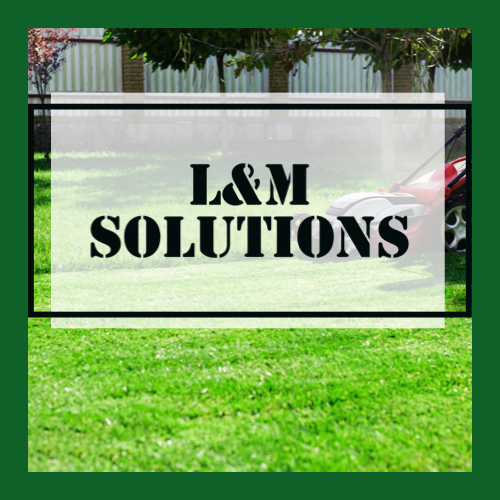 Avatar for L&M Cleaning Solution