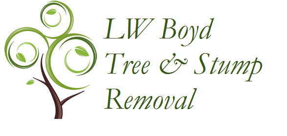 Avatar for JD Boyd Tree and Lawn LLC