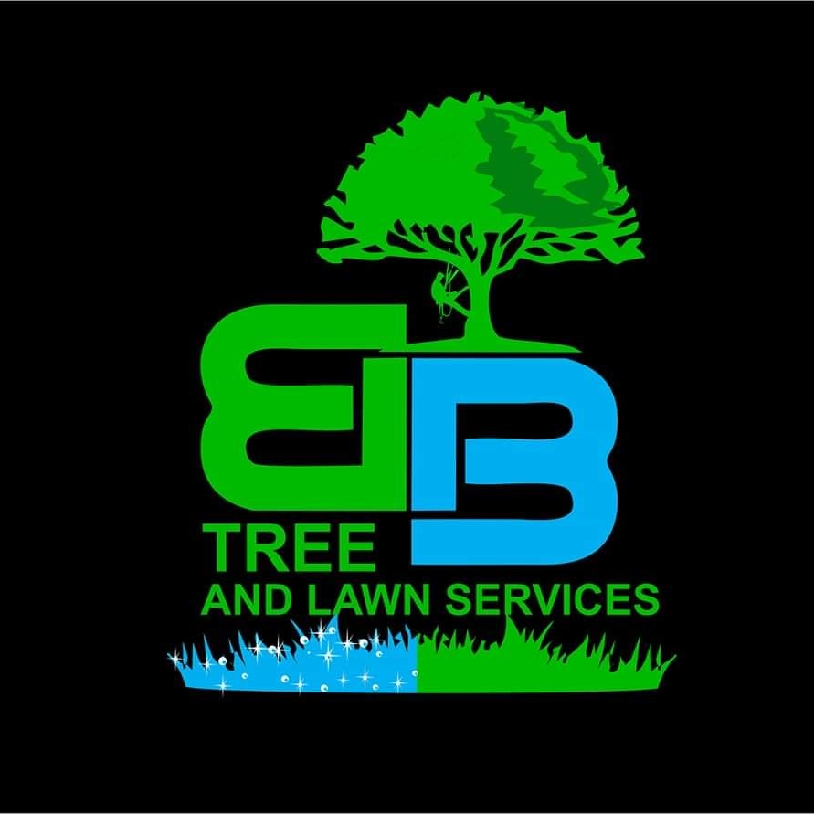 Avatar for B&B Tree and Lawn Service