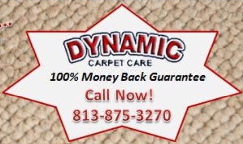 Logo for Dynamic Carpet Care