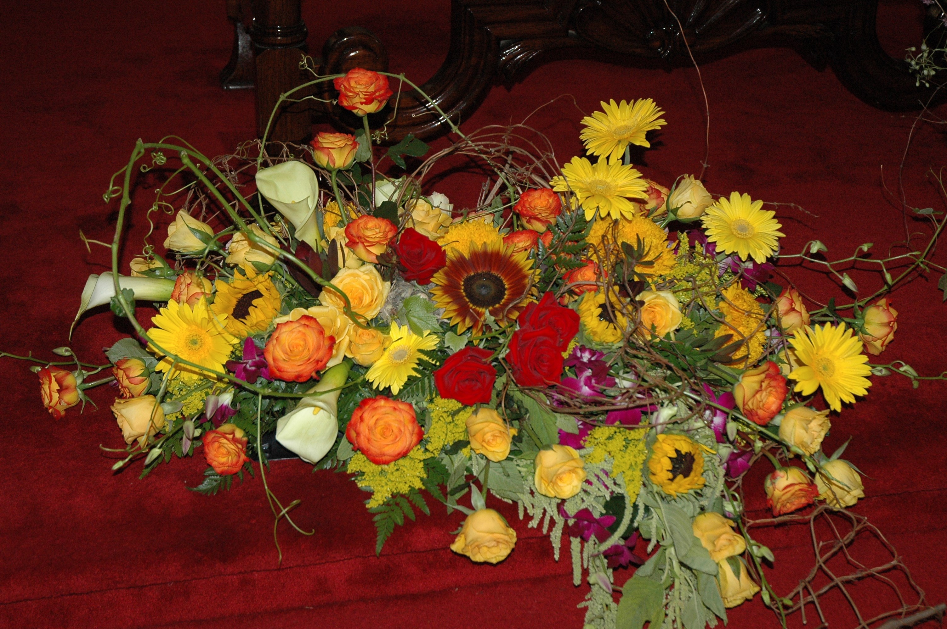 Avatar for Sheila Le Roy Designs