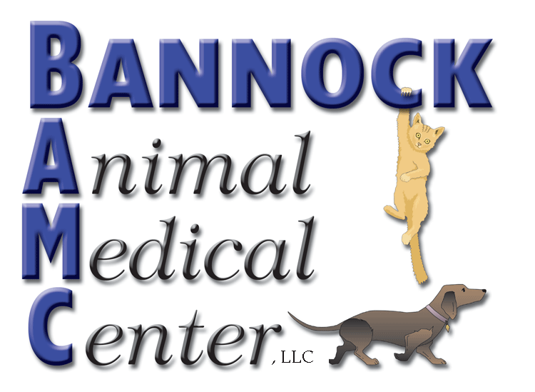 Logo for Bannock Animal Medical Center