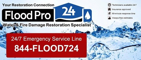 Avatar for Flood Pro 24 Inc