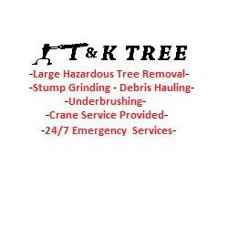 Avatar for T & K Tree Service