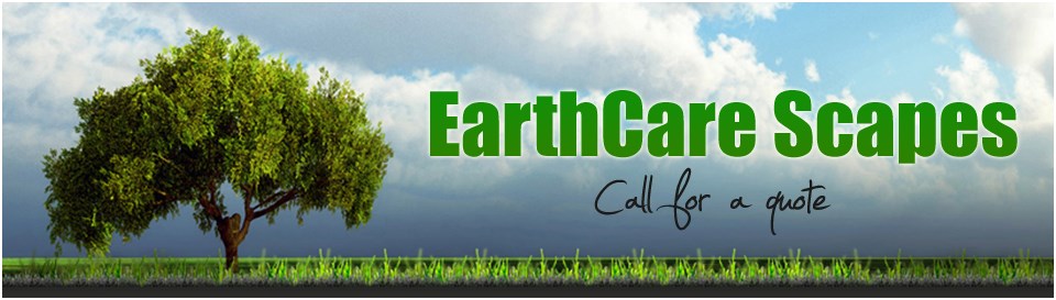 Avatar for EarthCare Scapes