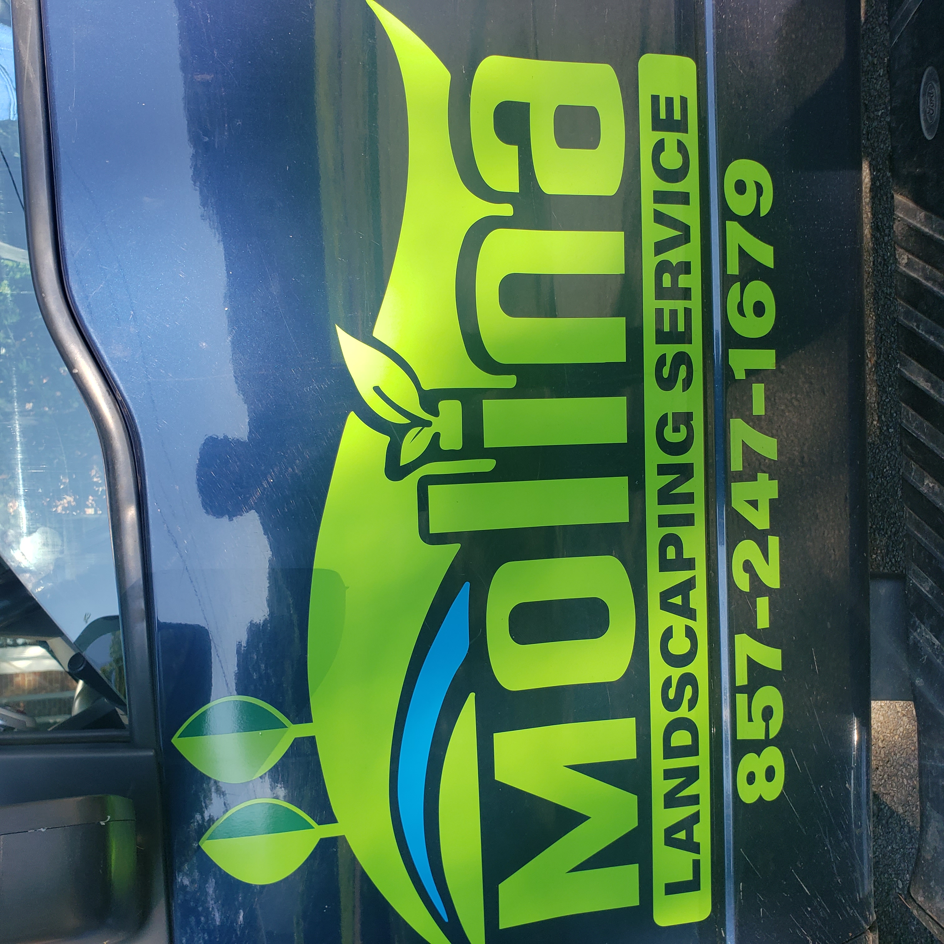 Avatar for Molina llc