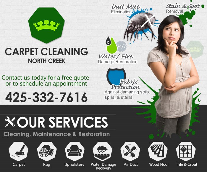 carpet cleaning