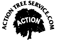 Avatar for Action Tree Service Inc
