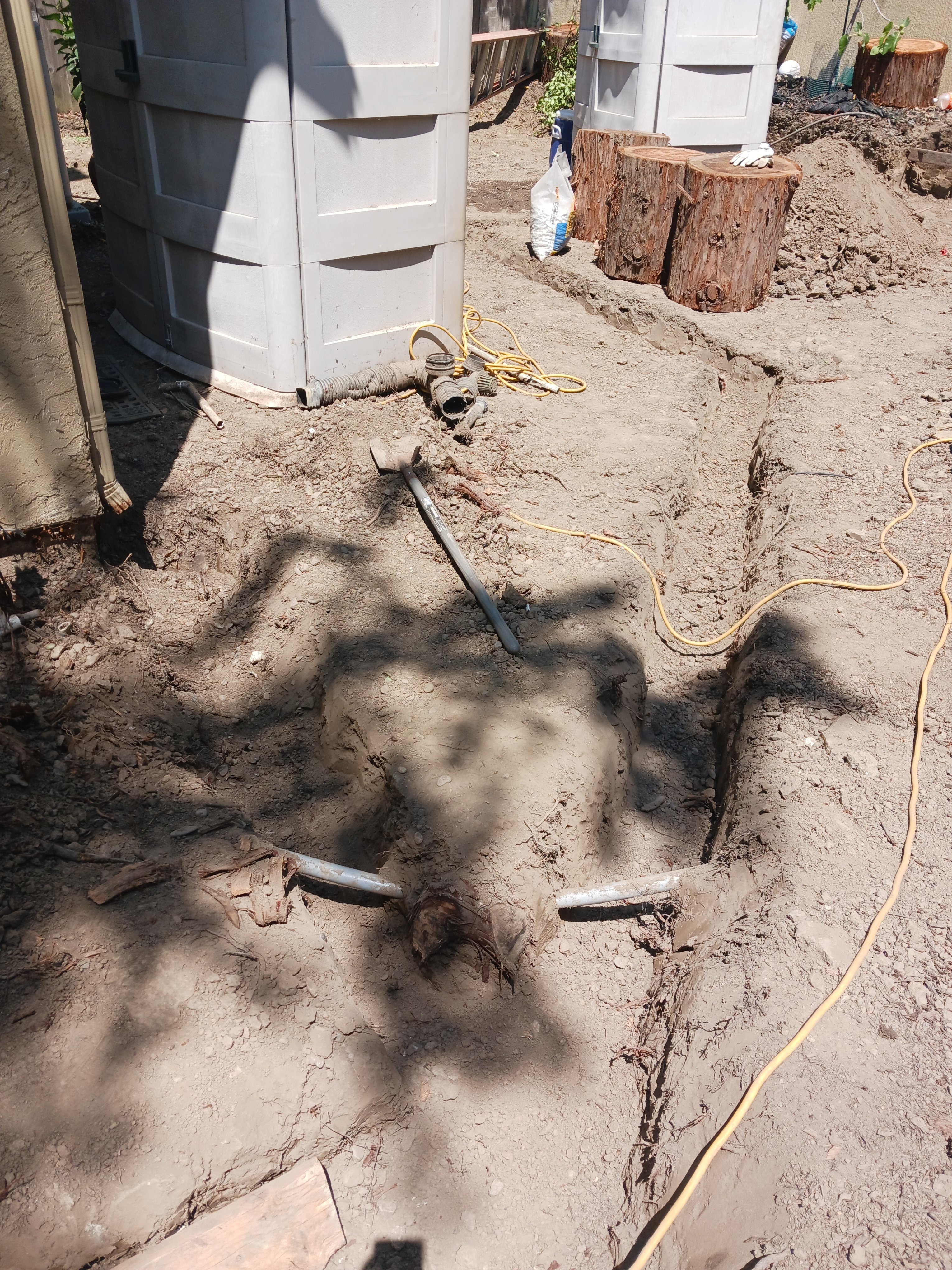 Avatar for Jafet Medina 