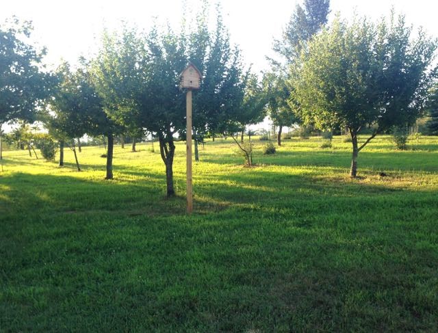 Avatar for Great Escape Farms