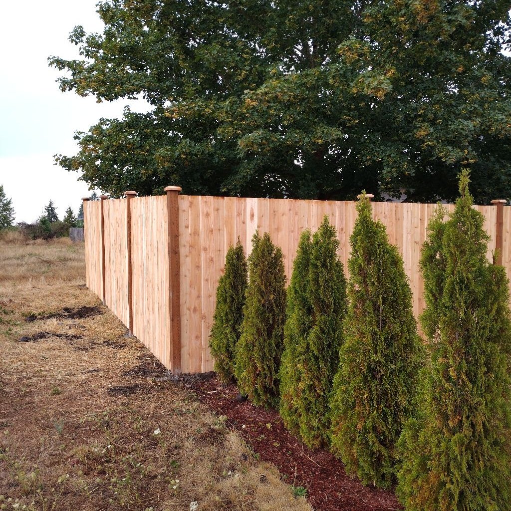 Avatar for EAGLE FENCING