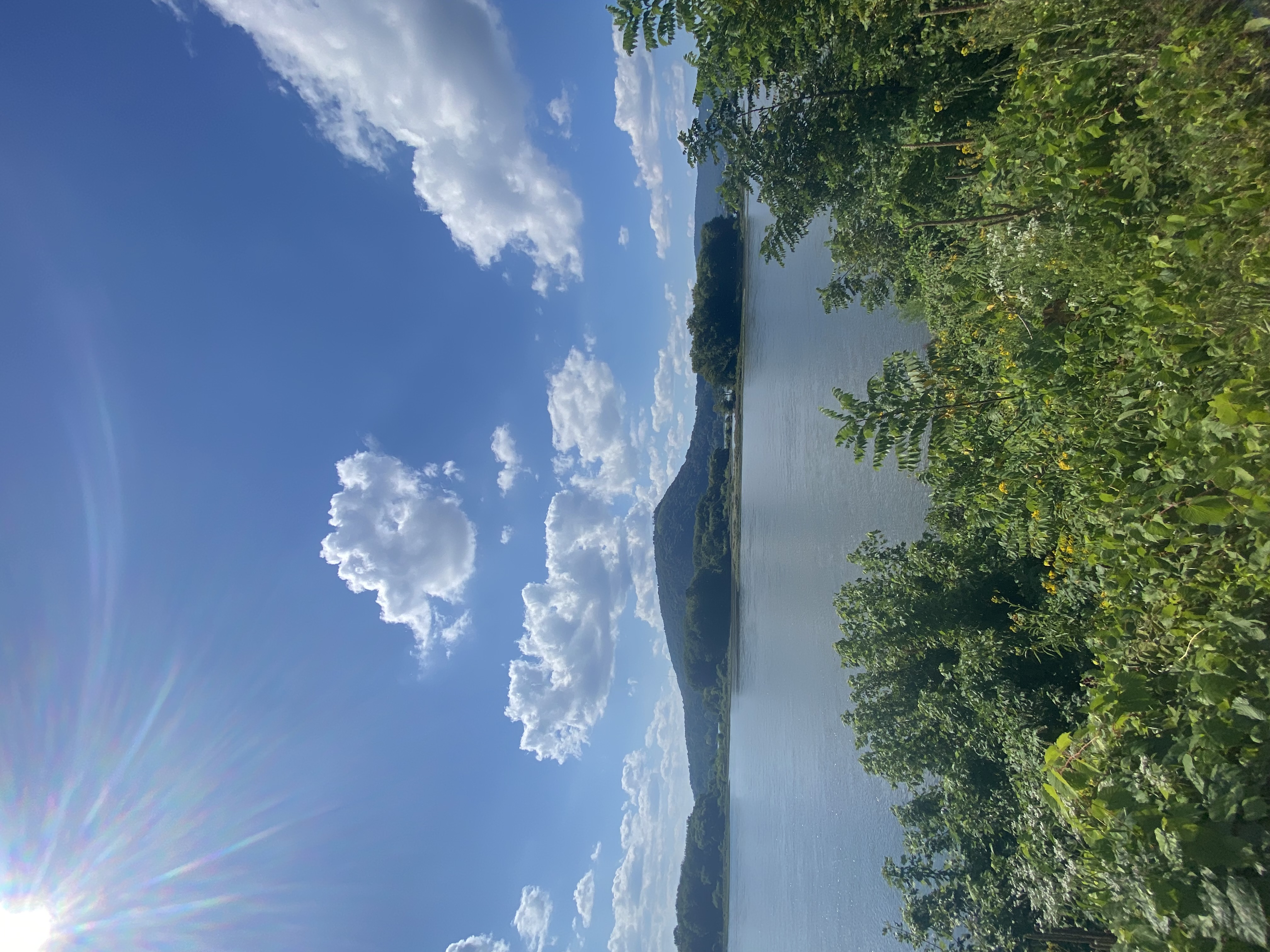 Avatar for Harvey Seeney