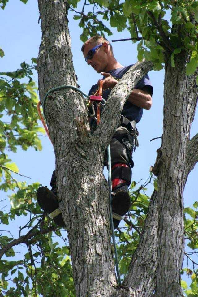 Avatar for Pickle Tree Peoperty & Maintenance LLC