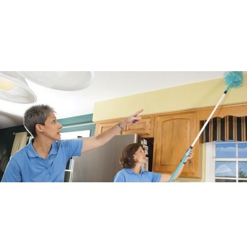 Golden Touch Cleaning LLC logo