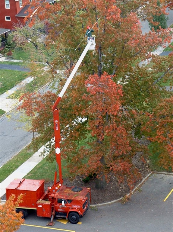 Aerial Lift Bucket Truck