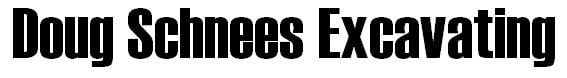 Logo for DOUG SCHNEES EXCAVATING