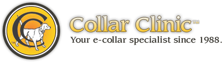 Avatar for COLLAR CLINIC