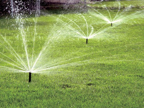 sprinklers