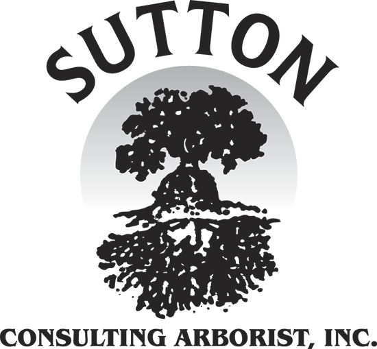 Avatar for SUTTON CONSULTING ARBORIST INC