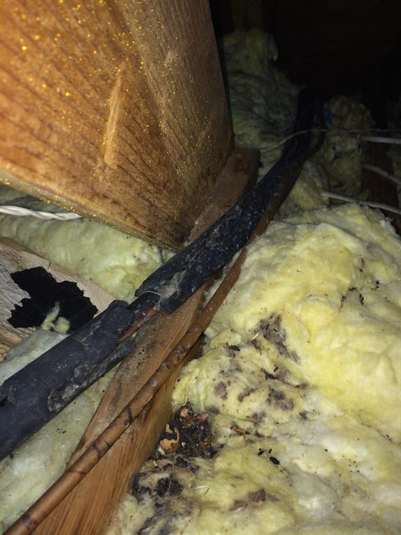 contaminated insulation