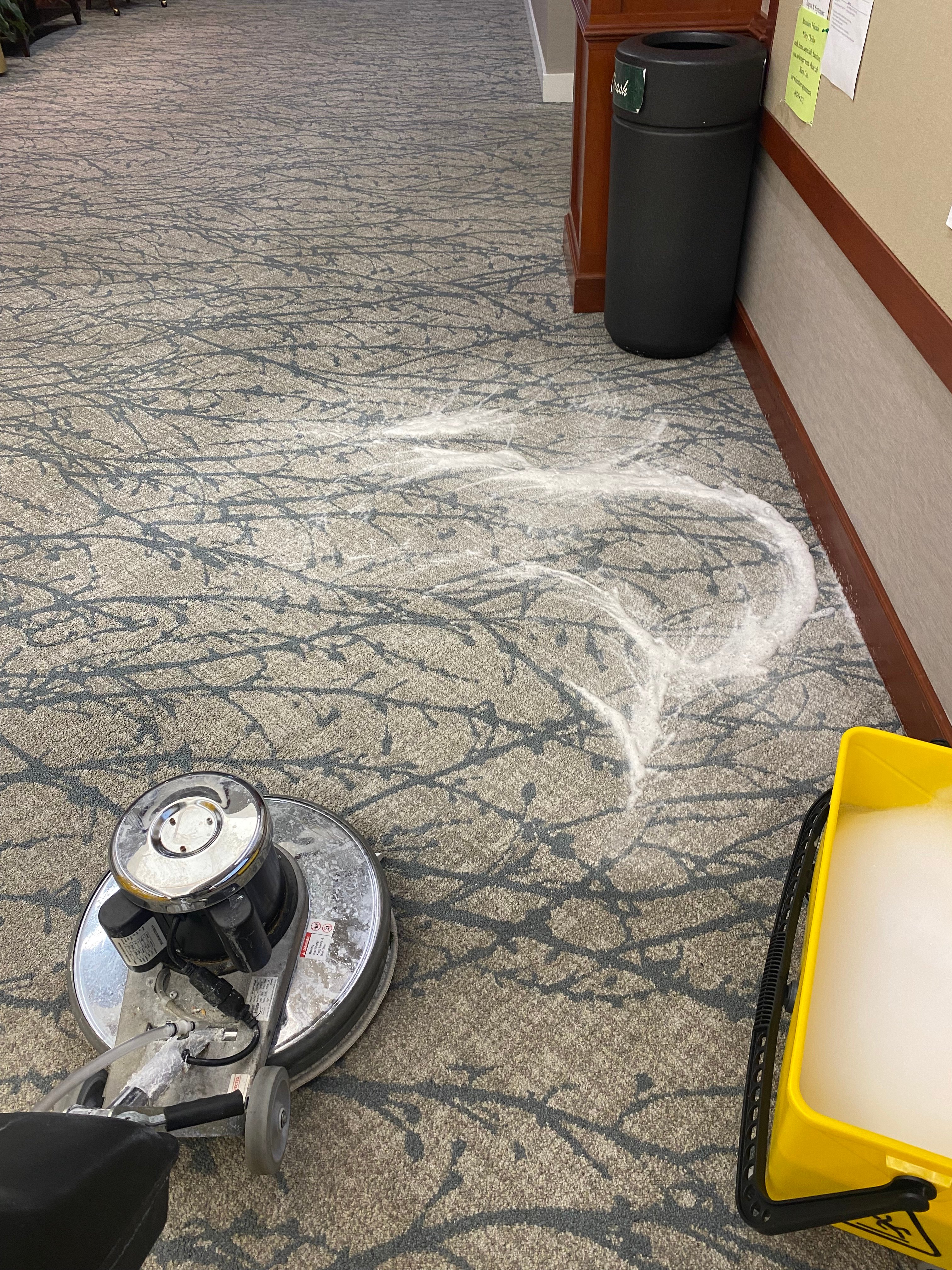 Avatar for Eazzzyscarpetcleaningservices