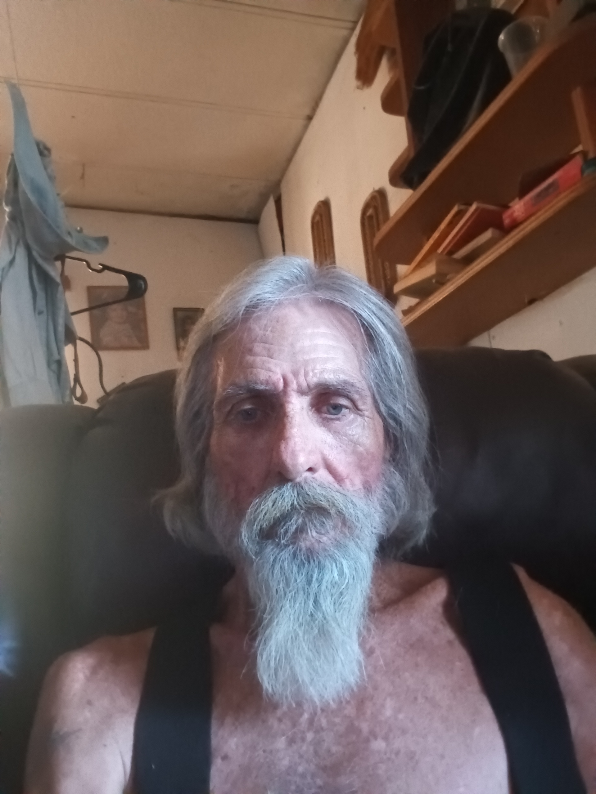 Avatar for Shade chasers