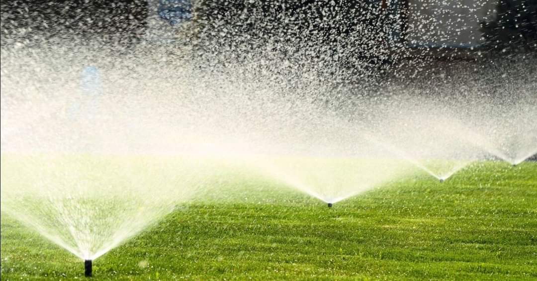 Avatar for Mr. Mister