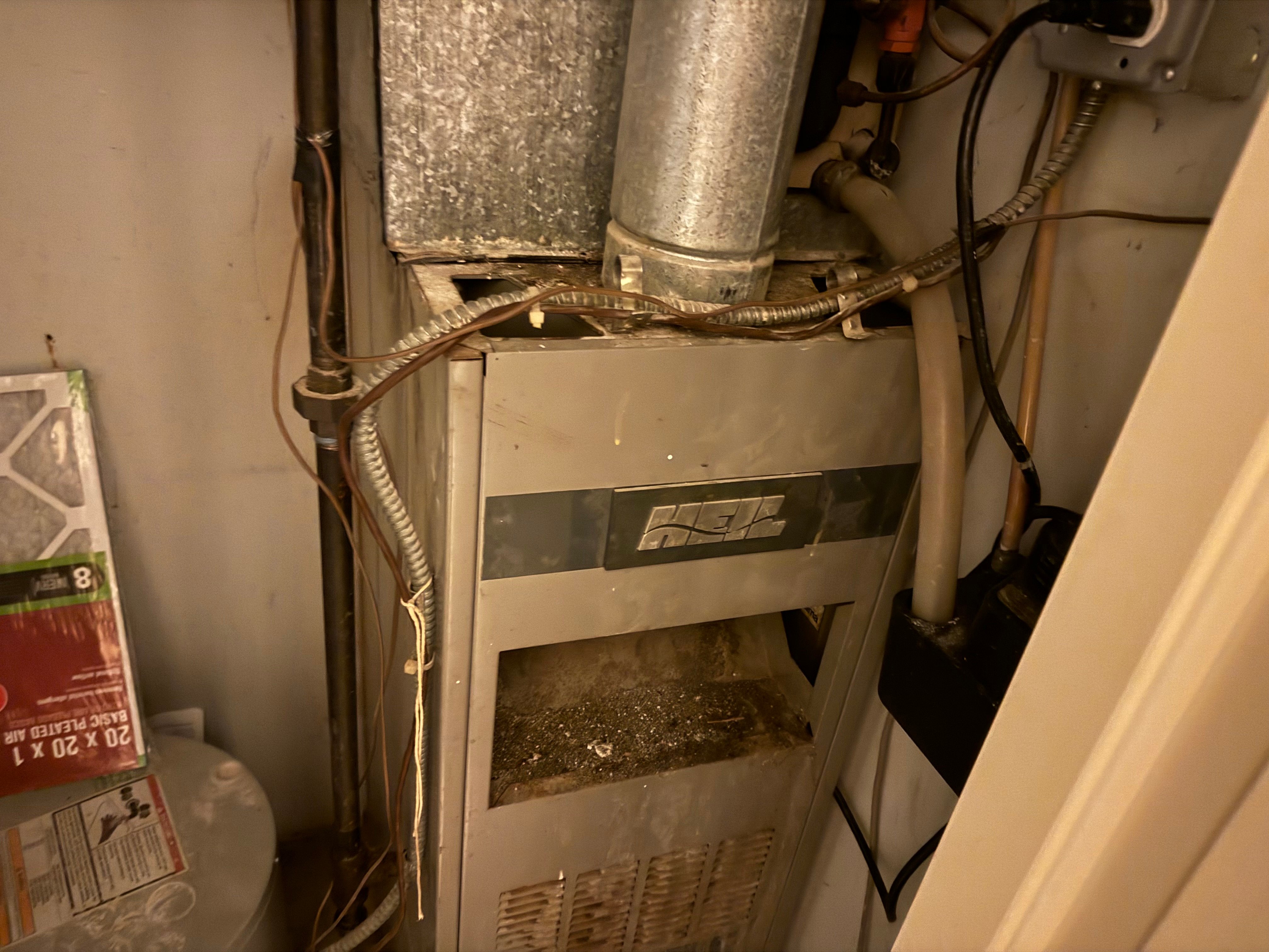 Avatar for Grounds for improvement