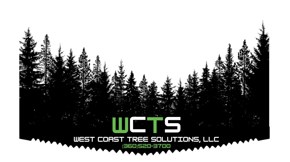 Avatar for West coast tree solutions llc 