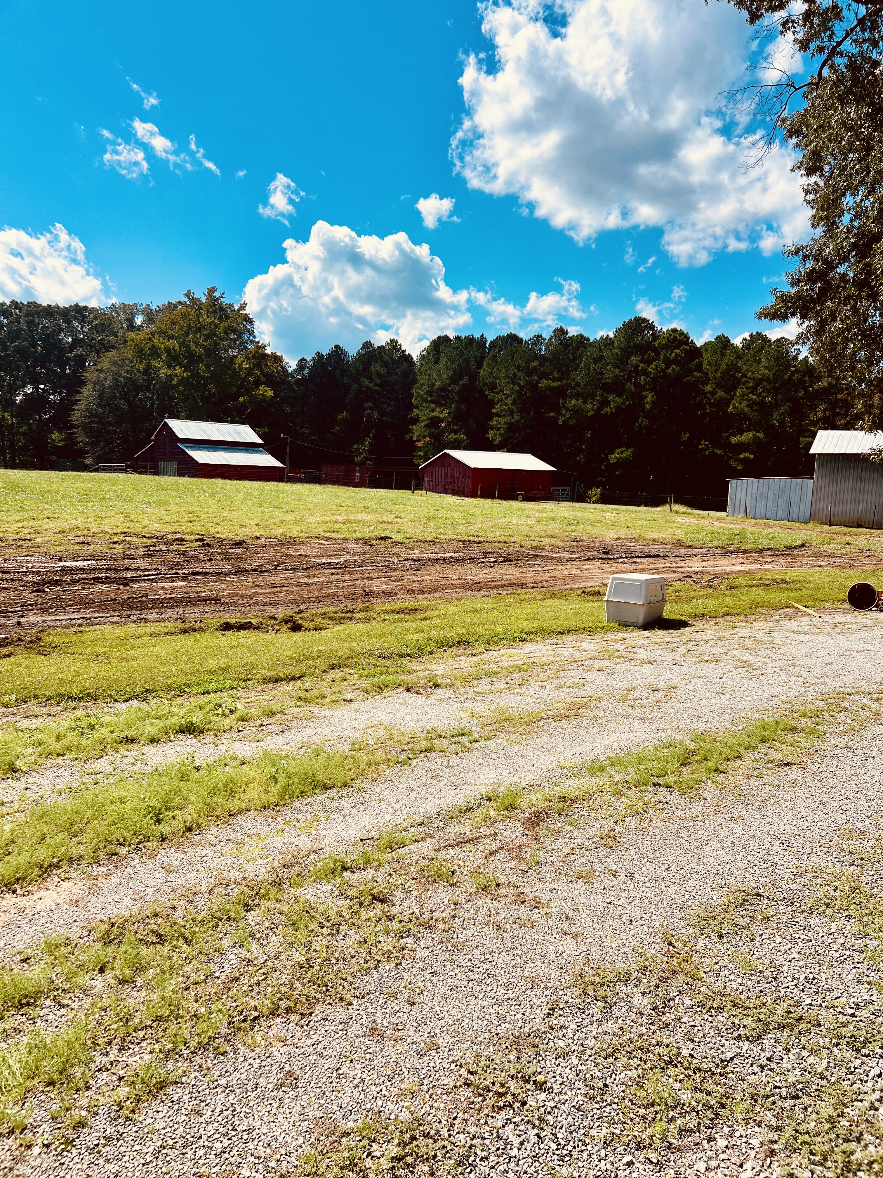 Avatar for Dunn and Sons 