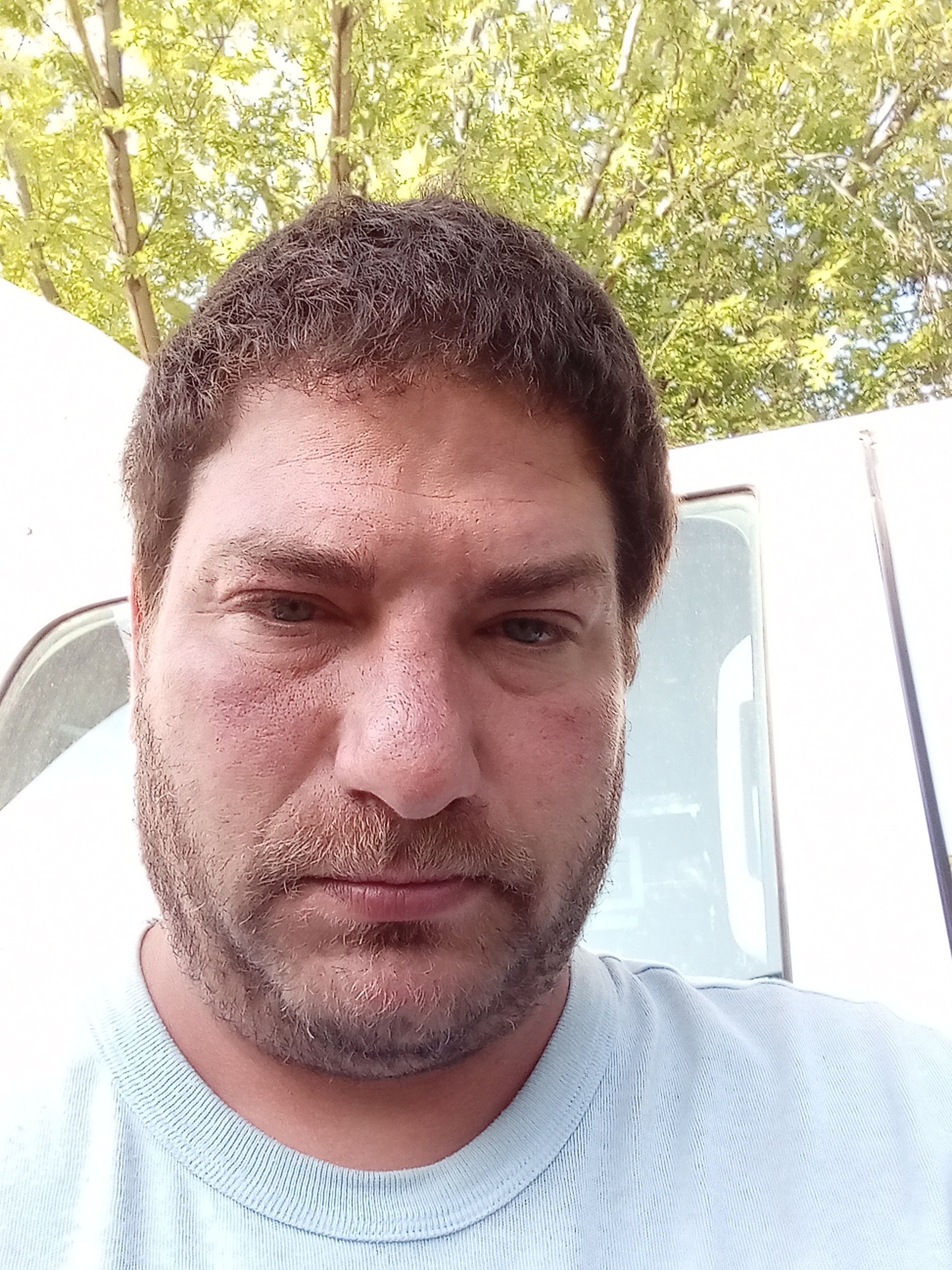 Avatar for gordy's micilanious