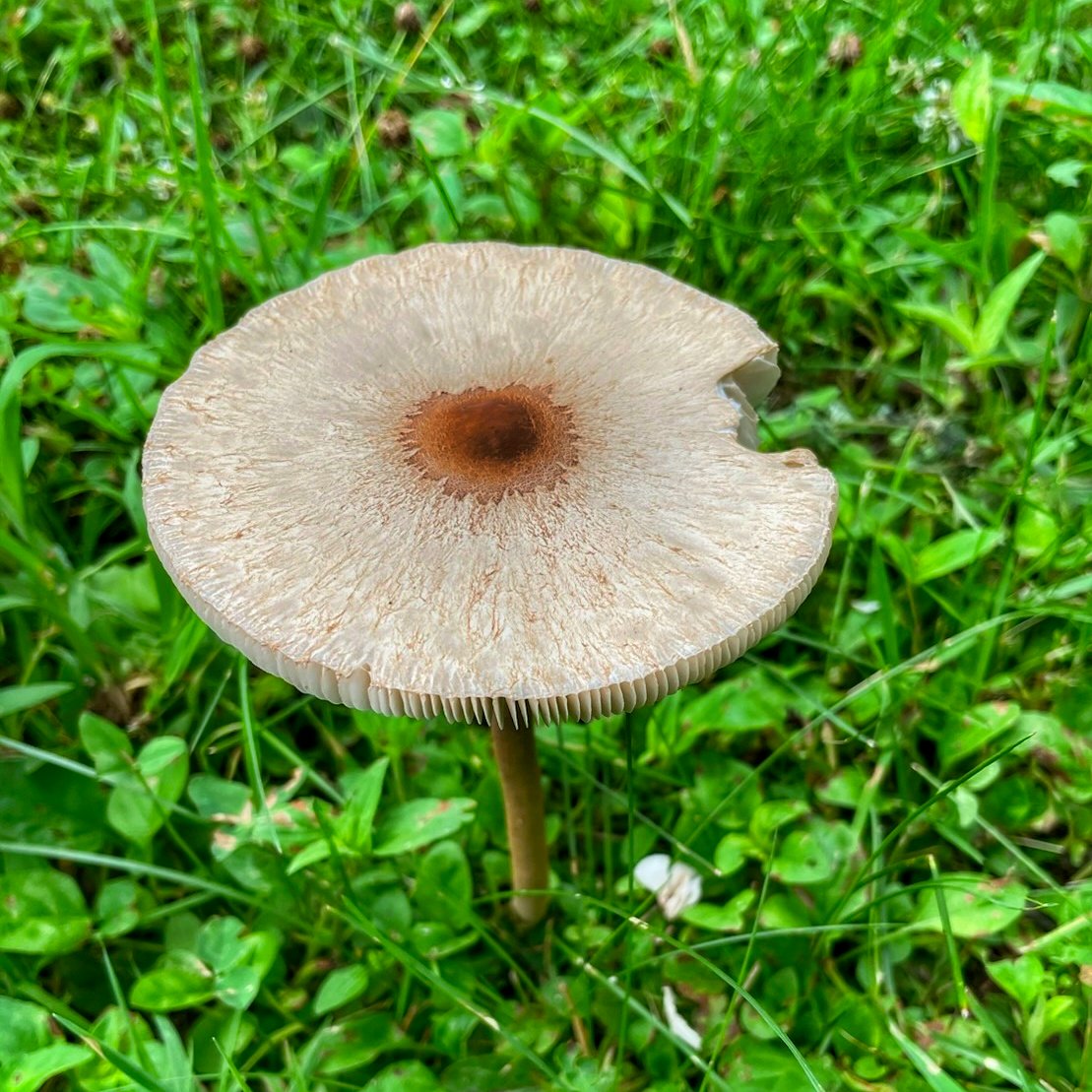 Avatar for KPE Roofing