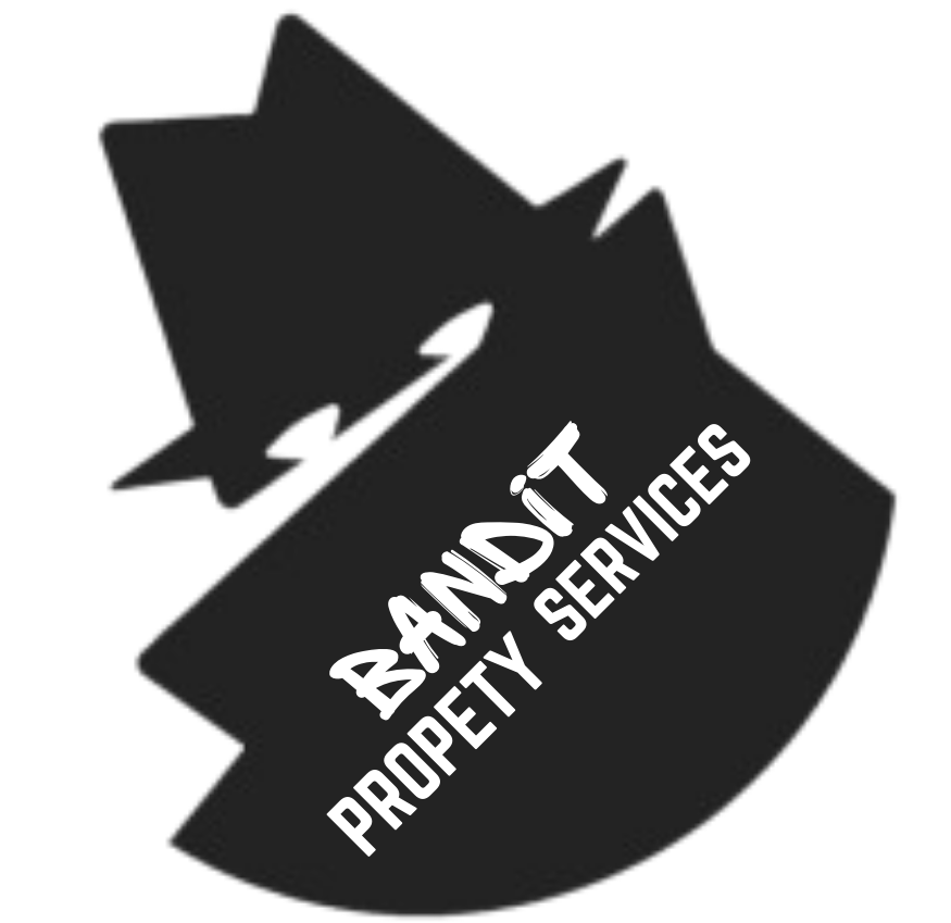 Avatar for Bandit Property Services 