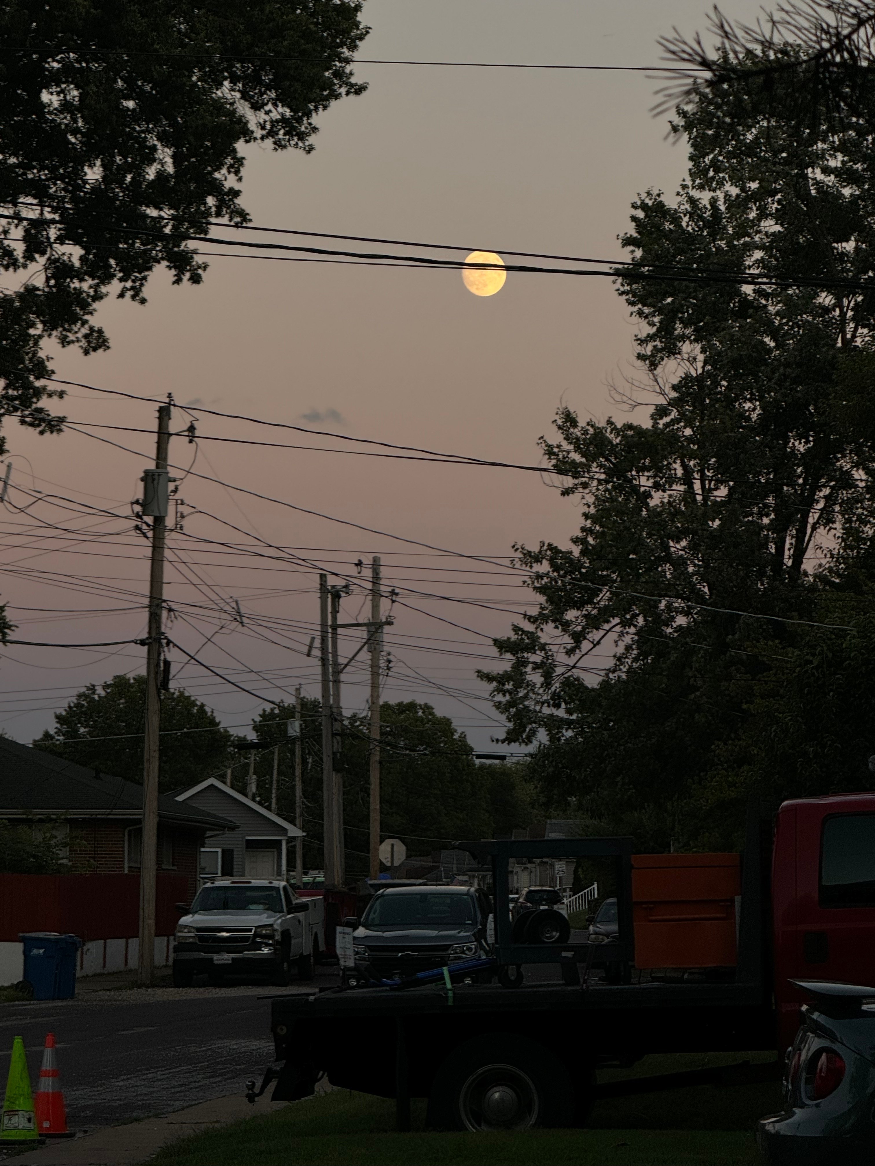 Avatar for Jorge rabanales